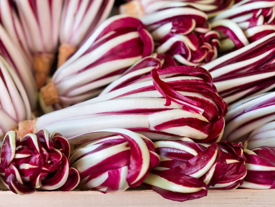 radicchio-trevigiano-igp-002